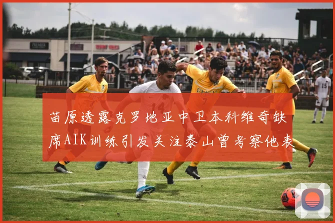 苗原透露克罗地亚中卫本科维奇缺席AIK训练引发关注泰山曾考察他表现